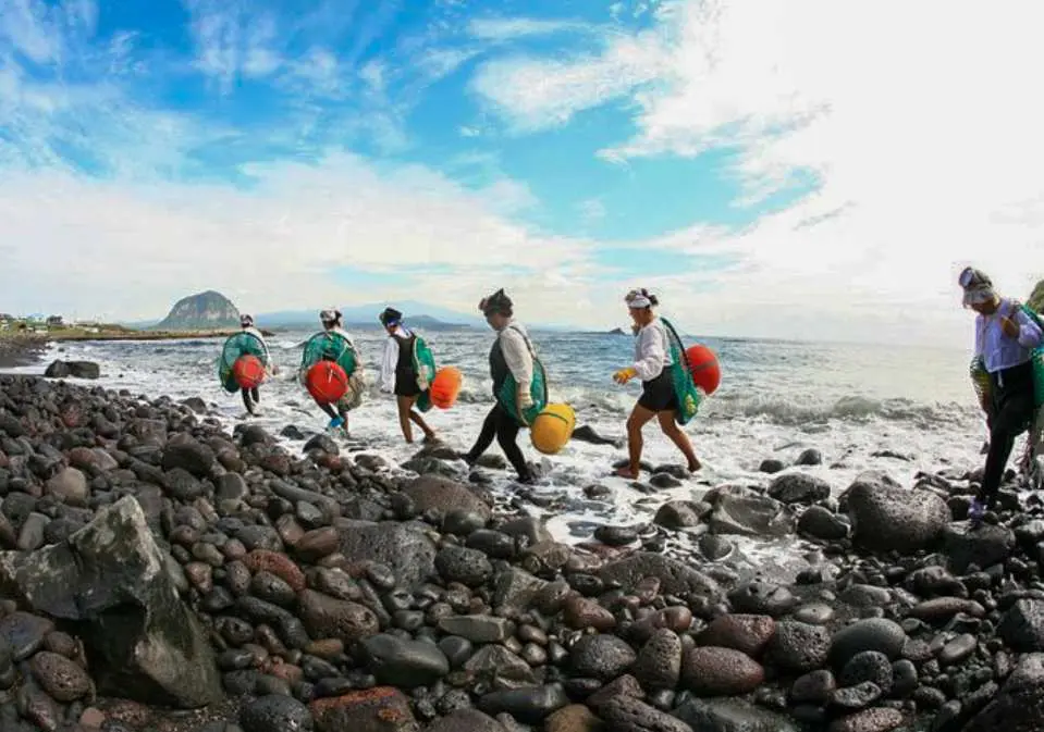 Haenyeo Show | The Haenyeo Show is a special experience where you can encounter the Jeju Haenyeo culture, registered as a UNESCO Intangible Cultural Heritage, firsthand. Witness the intense live performance of Jeju's legendary Haenyeo diving into the sea without oxygen tanks. Their deep affection for the ocean and indomitable spirit leave the audience deeply moved and humbled.
