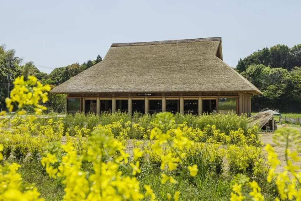 在建筑行业最负盛名的奖项之一普利兹克奖获得者、建筑师坂茂的监督下，该设计采用环保材料并采用可再生材料。除了使用与自然和谐相处并可作为堆肥再利用的“卡亚”作为屋顶材料外，还使用由再生纸制成的“纸管”作为柱子的建筑材料，打造一个对地球友善的空间。 。
