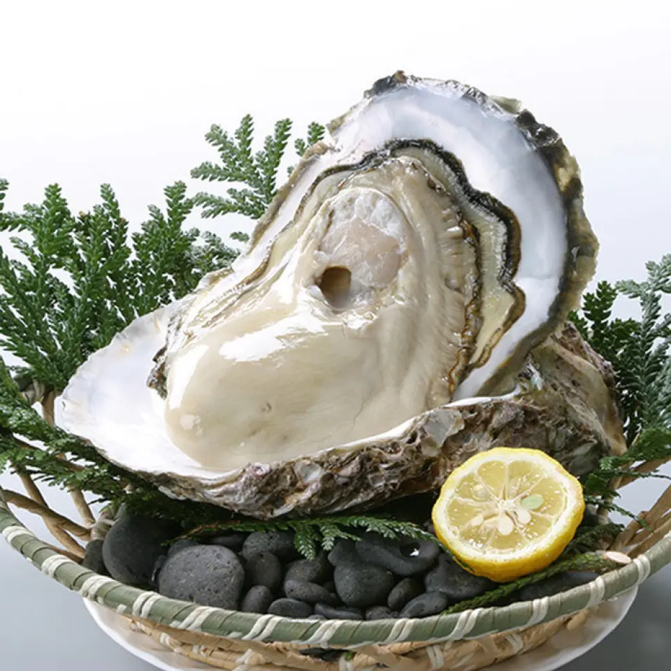 You can eat rock oysters and fresh seasonal seafood. The recommendation board in the restaurant lists the daily recommended menu items.