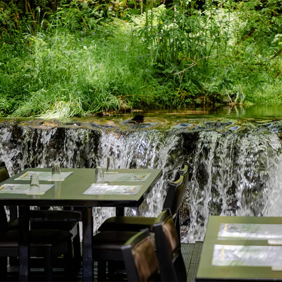 貴船擁有美麗茂密的植被和清澈的河流流過。由於位於山間河邊，比城市裡涼爽得多，而且不像空調或風扇，你可以感受到天然的負離子，讓你在宜人的涼爽中放鬆身心。在河床上，在非凡的空間中享用松阪牛的烤肉和涮鍋，真是獨一無二。沿著緩緩流淌的河流，享受輕鬆的時光。