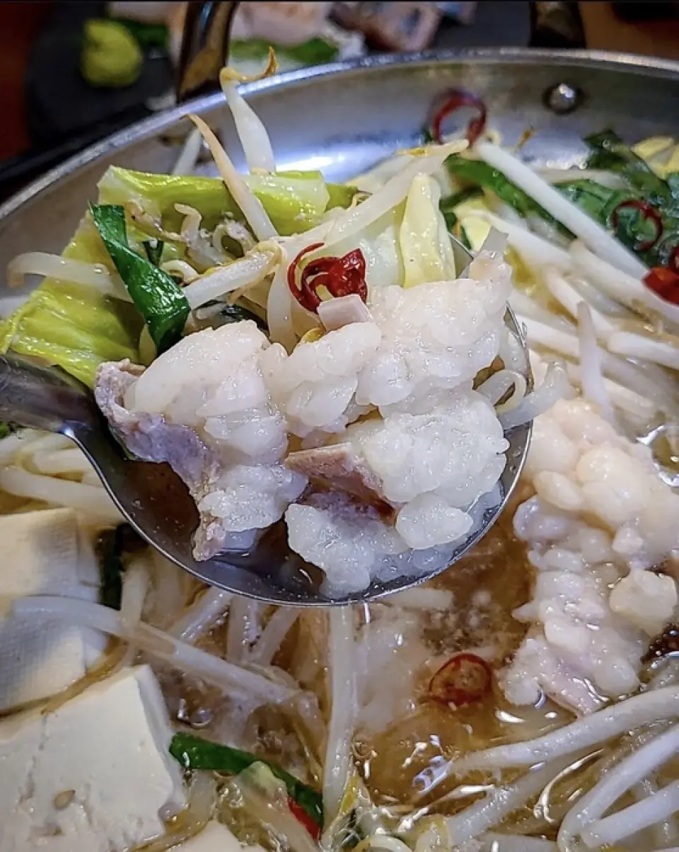 This course menu allows you to fully enjoy Sanji's commitment, including the "exquisite motsunabe" made with domestic offal and fresh seafood procured that day! It also includes 2 hours of all-you-can-drink (last order 30 minutes), making it perfect for various banquets! Drink and eat with colleagues and friends!