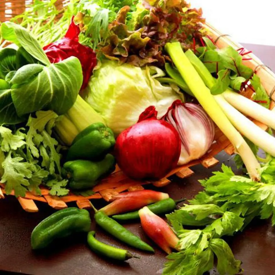 我們店的主題是「連結農場和餐桌」。我們使用大量來自簽約農戶的每個季節到達的有機蔬菜！非常適合注重美麗和健康的女性。