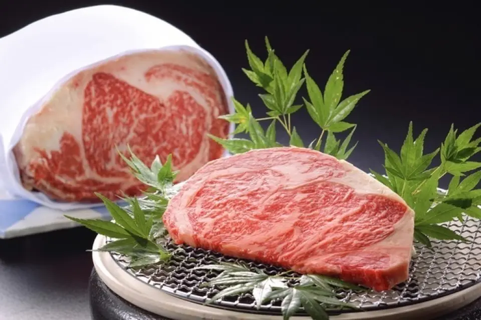 肉類菜餚包括使用肉質在黑毛和牛中堪稱頂級的佐賀牛的“Tagliata牛排”，以及將100種牛肉製成的主菜組合在一起的“和牛×新鮮奶酪博洛涅塞”。和牛配義大利麵我們還準備了可以享用肉和紅酒的菜單。