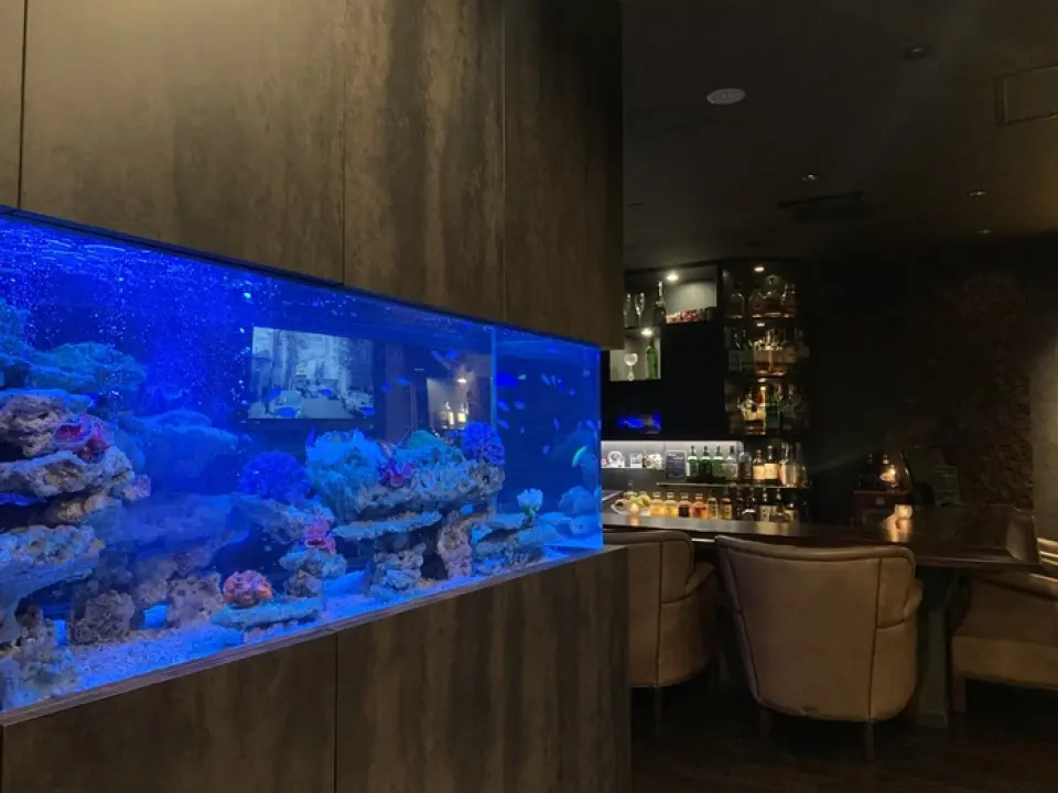 正宗的成人酒吧，設有美麗的水族館，讓您放鬆身心。店內燈光昏暗，氣氛沉穩，設有可在1人沙發上休息的吧台席（10個座位）和最適合私人場合的沙發型包廂席。我們也接受最多 14 人的私人預訂，因此請隨時聯繫我們為親人慶祝或舉辦各種活動。這家店營業到第二天凌晨4點。請隨時親自前來。