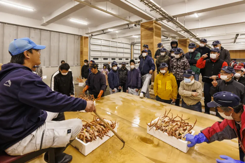 Our shop is the only one in the prefecture that offers the "Echizen Crab Evening Auction Guided Tour." You can watch the dynamic auction, which starts at 6:00pm, with a guide at Mikuni Port Market, which is a one-minute drive from our shop. Separate reservations are required for restaurant seats, but you can enjoy freshly caught crab in your favorite crab dish! Participation in the evening auction guide is free! Walk-ins are welcome! However, due to fishing, the event is held irregularly. Be sure to check the "Announcements" section of the official website for details.