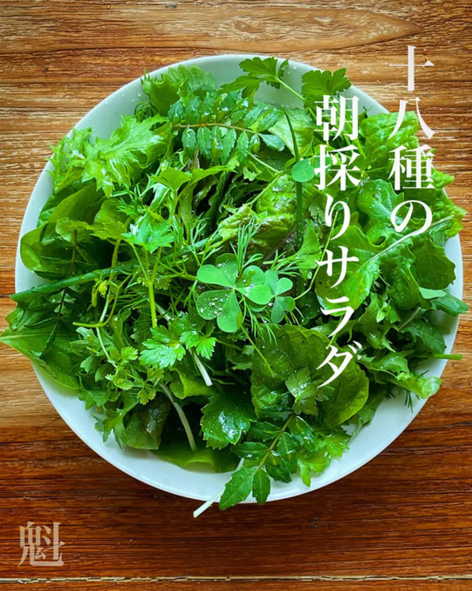 我们提供创意时令菜肴，主要使用来自富士山美味水和清洁土壤的蔬菜、时令野菜、以及从全国各地渔民直送的当地品牌肉类等强大食材。