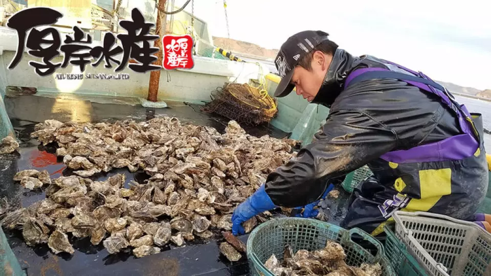You haven't yet experienced the true deliciousness of seafood! Akkeshi Suisan deals directly with 25 fishermen from Hokkaido and Nagasaki, and thanks to the trust they have built by going out to sea with them, they are able to deliver the best ingredients to us. In order to deliver the best oysters and fresh fish to our customers, Akkeshi Suisan goes out to sea with the fishermen every day to work hard. Please enjoy our carefully selected ingredients.