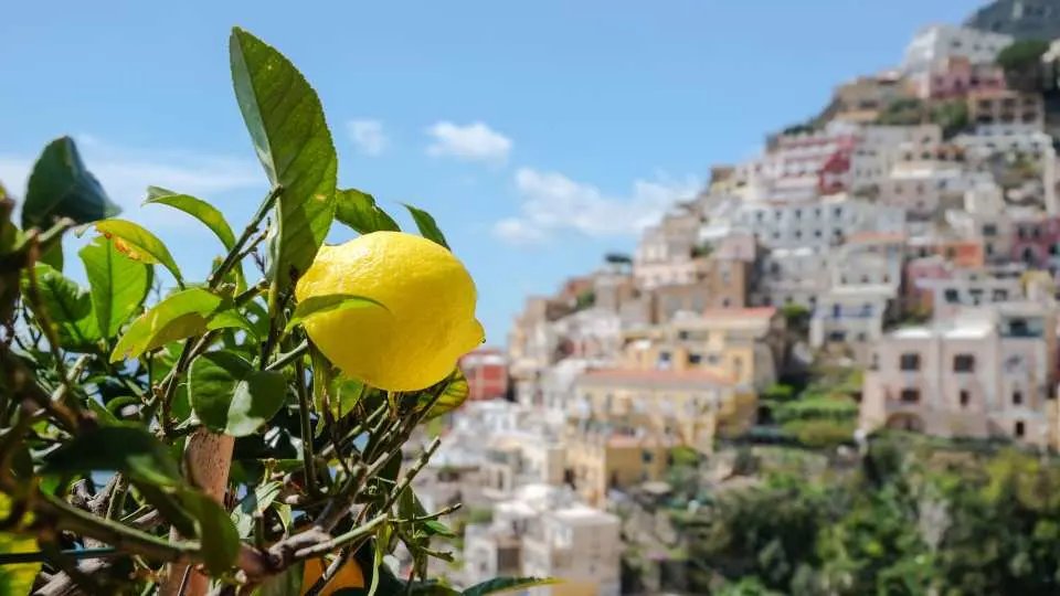 阿瑪菲因為臨近地中海陽光充足，這裡盛產辣椒和檸檬，四處可見金黃飽滿的檸檬
