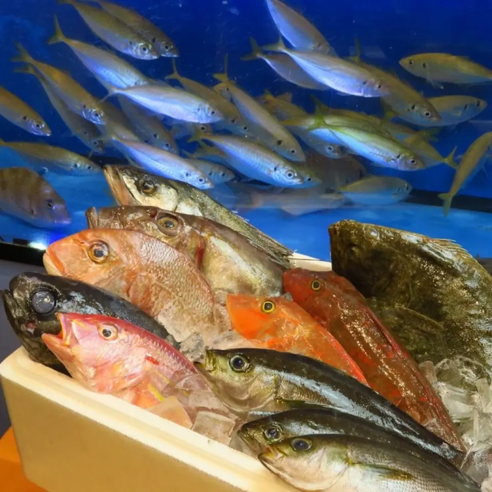 We deliver fresh live fish from the fish tank inside the store! You can eat freshly cut fish that arrives that day! We also offer courses that include sashimi and other seafood dishes. Please feel free to use our restaurant for drinking parties and banquets.