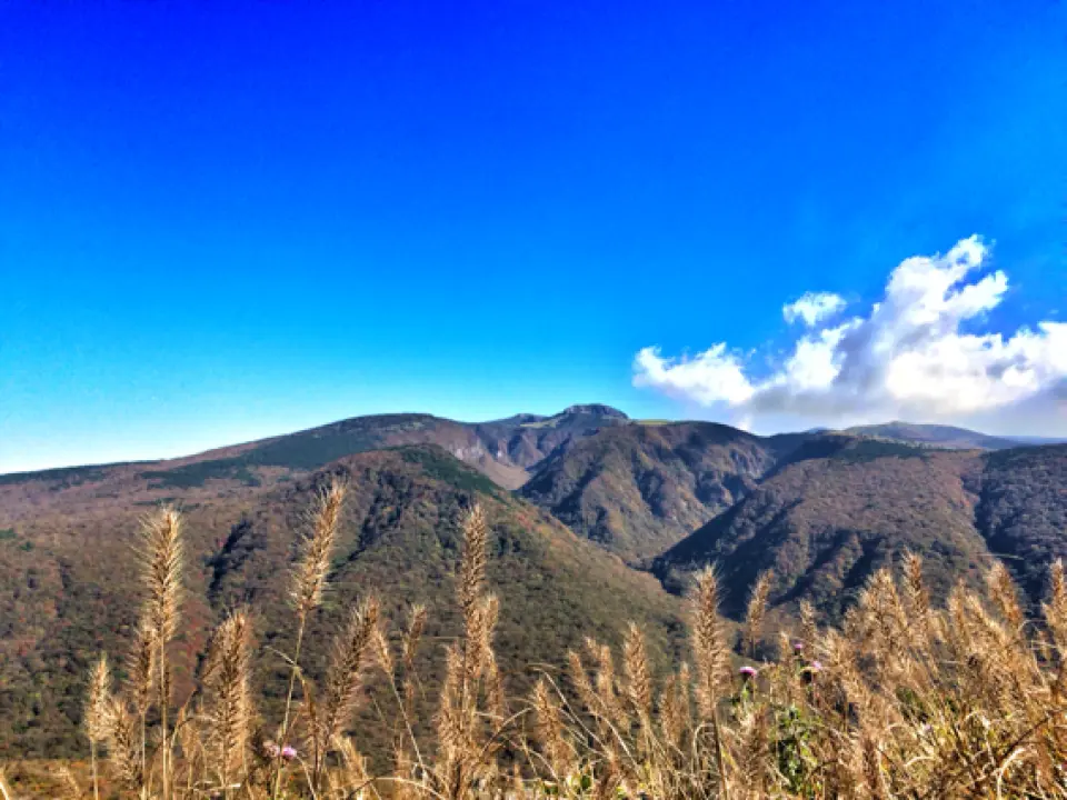 Hallasan - Eoseungsaengak (1-hour climb)