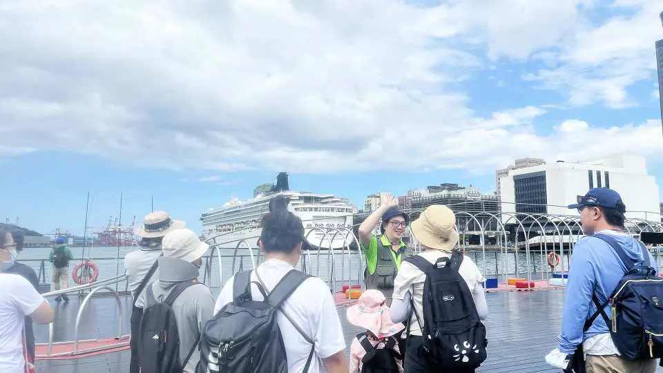 在海洋廣場時常看見黑鳶與郵輪，一同認識與感受海港風情。