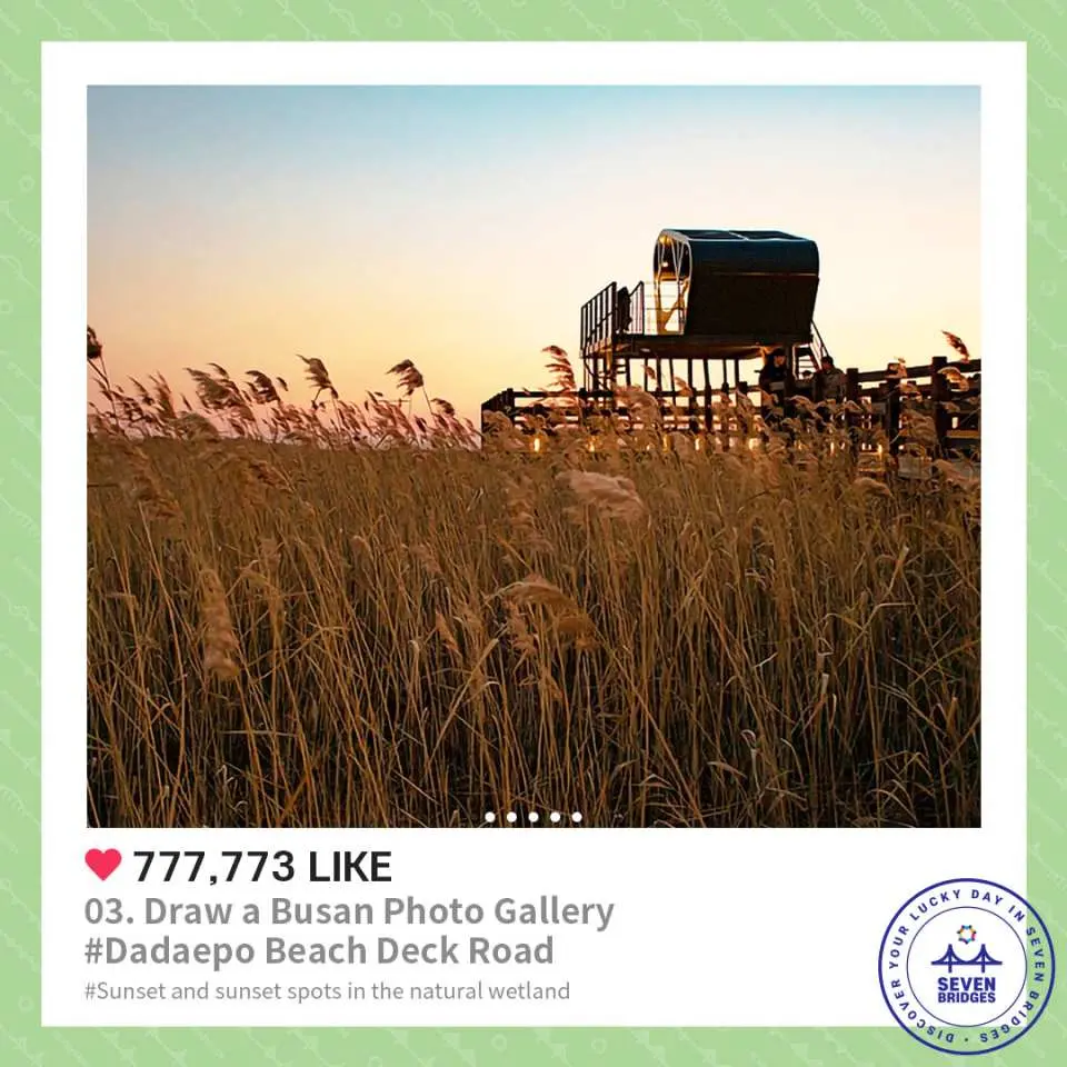 Enjoy the stunning sunsets and twilight views at Dadaepo Beach, a favorite spot for nature lovers