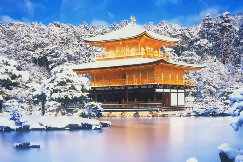 京都金閣寺在冬季陽光下，金色的建築與池水、白雪皚皚的樹木相互輝映，晴空湛藍，呈現寧靜而奢華的京都冬季經典美景。