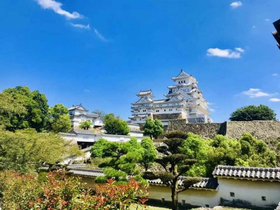 國寶姬路城是日本最初登錄為世界文化遺產的地方，由於美麗雄姿猶如展翅起舞的白鷺，所以又稱為『白鷺城』。姬路城建造於元和3年(西元1333年)，由地方豪族赤松則村建造城堡開始，後由羽柴(豐臣)秀吉、池田輝政著手逐漸擴建直至現在的模樣。近四百年來，姬路城不但經歷了幕末時期的內戰、明治時代的「廢城令」、二次大戰時的美軍轟炸，然而，卻都奇蹟似地三番兩次度過滅城危機，因此又稱為「不戰城」。與名古屋城、熊本城並列為日本三大名城，堀內種植有約1000顆染井吉野櫻，春櫻綻放時，浪漫的粉色櫻花與雄偉的城堡相呼應成美麗的景色，被選為百選賞櫻景點。（★預計開花期間：3月底～4月中旬）。