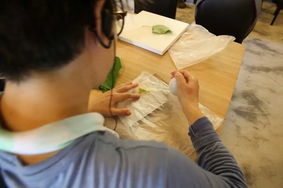 Plant dyeing experience