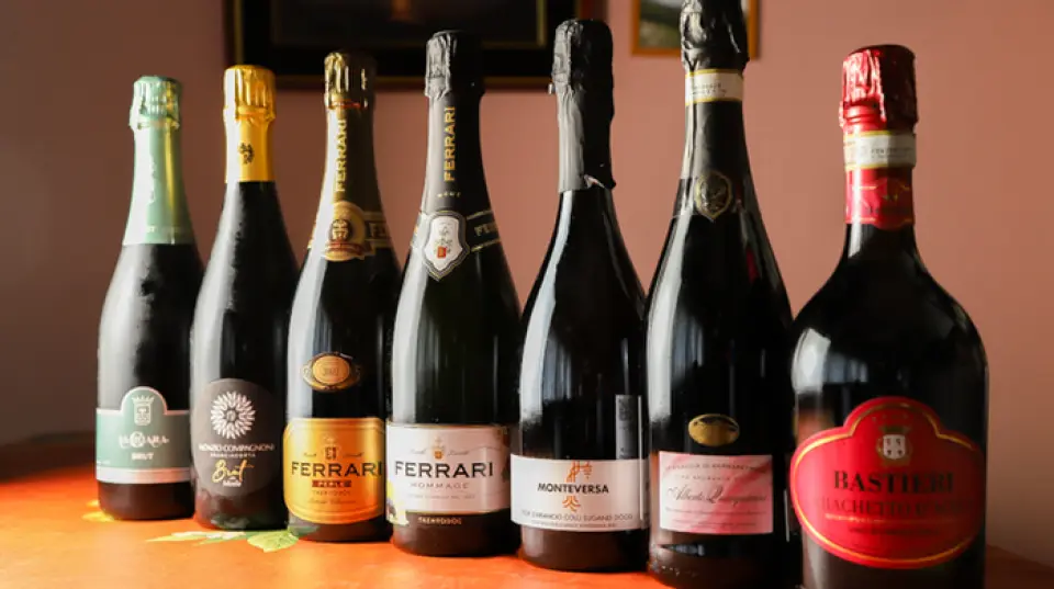 Our Italian regional cuisine course will be accompanied by a wine recommendation prepared by our sommelier-certified owner chef. Enjoy the perfect pairing of food and wine.