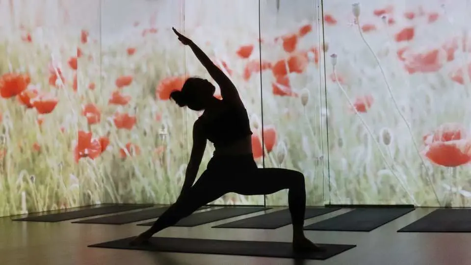 台北 Yoga Journey 沉浸式瑜珈課程，學員剪影在美麗花海投影前練習，喚醒活力，享受高效塑身與專注。