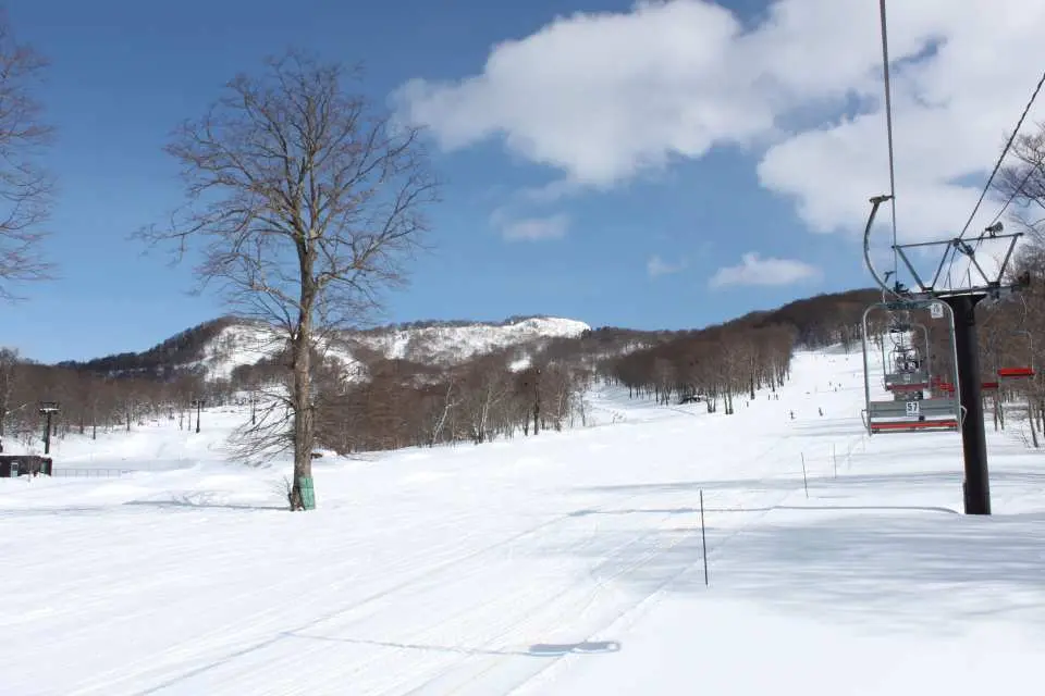 丹原滑雪公園（群馬縣）