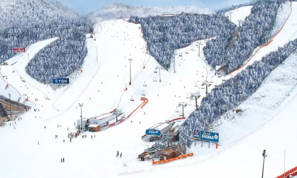 韩国大型滑雪场如龙平或平昌Alpensia的壮丽全景，多条雪道蜿蜒于白雪覆盖的山坡上，缆车系统密集，展现滑雪场的广阔与设施齐全。