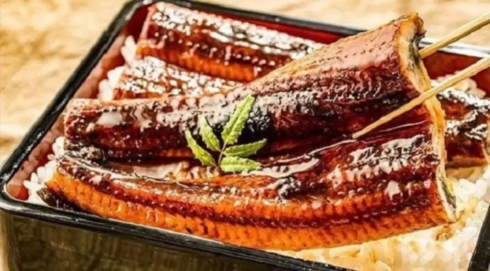为了让顾客能够安心享用我们的美食，鳗鱼成濑不允许任何妥协。我们只提供真正安全的鳗鱼，并通过ISO9001认证、ISO22000食品安全管理认证和HACCP质量控制的严格标准。