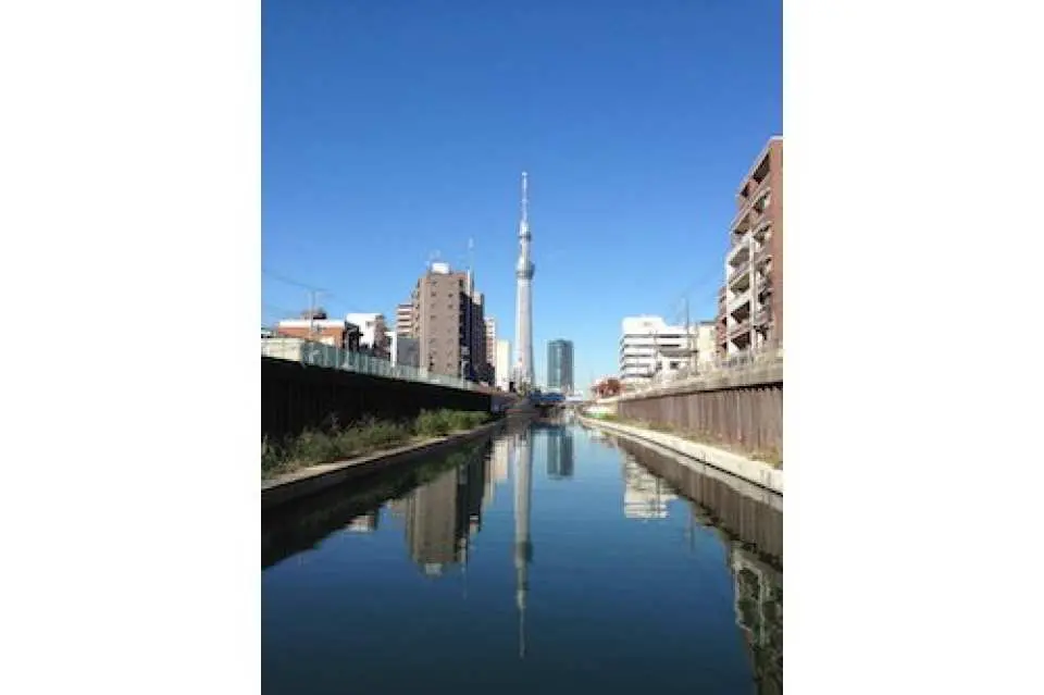 北九間川：倒映在水面上的「倒立樹」是絕佳的拍照景點