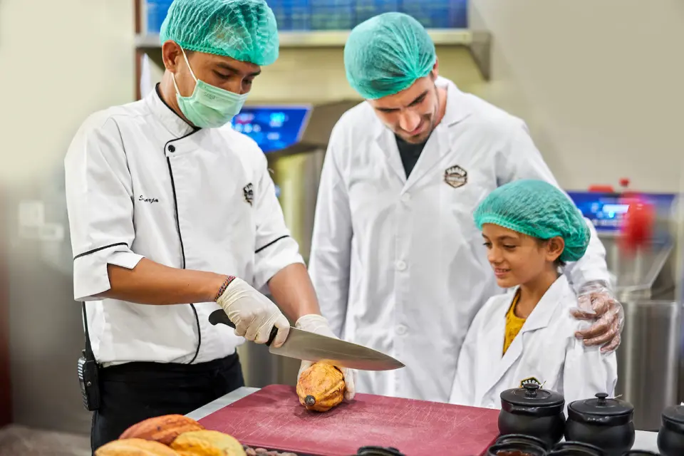 Chuyên gia tại nhà máy Sô-cô-la Mason Bali đang trình diễn cách mở quả ca cao, giới thiệu quy trình làm sô-cô-la từ hạt đến thanh cho du khách.