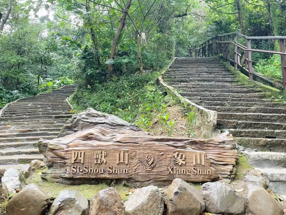 因山形似象而命名「象山」，與虎山、獅山、豹山合稱台北四獸山，也因為最高海拔不高（183公尺），不用一小時即可攻頂，加上鄰近鬧區，交通十分方便！也是情侶、友人相約看夜景的絕佳台北景點！