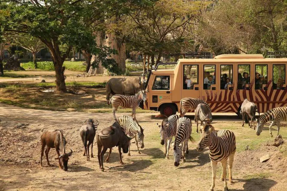 A safari jeep with tourists navigates Bali Safari and Marine Park's open habitat, where zebras, wildebeest, and rhinoceros roam freely, offering an up-close wildlife viewing experience.