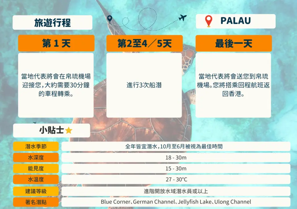 加購潛水行程