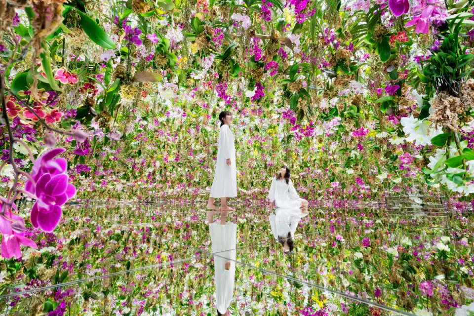 Two visitors immersed in Macau's teamLab art exhibition, surrounded by a mirrored flower sea, experiencing interactive installations and a unique visual feast.