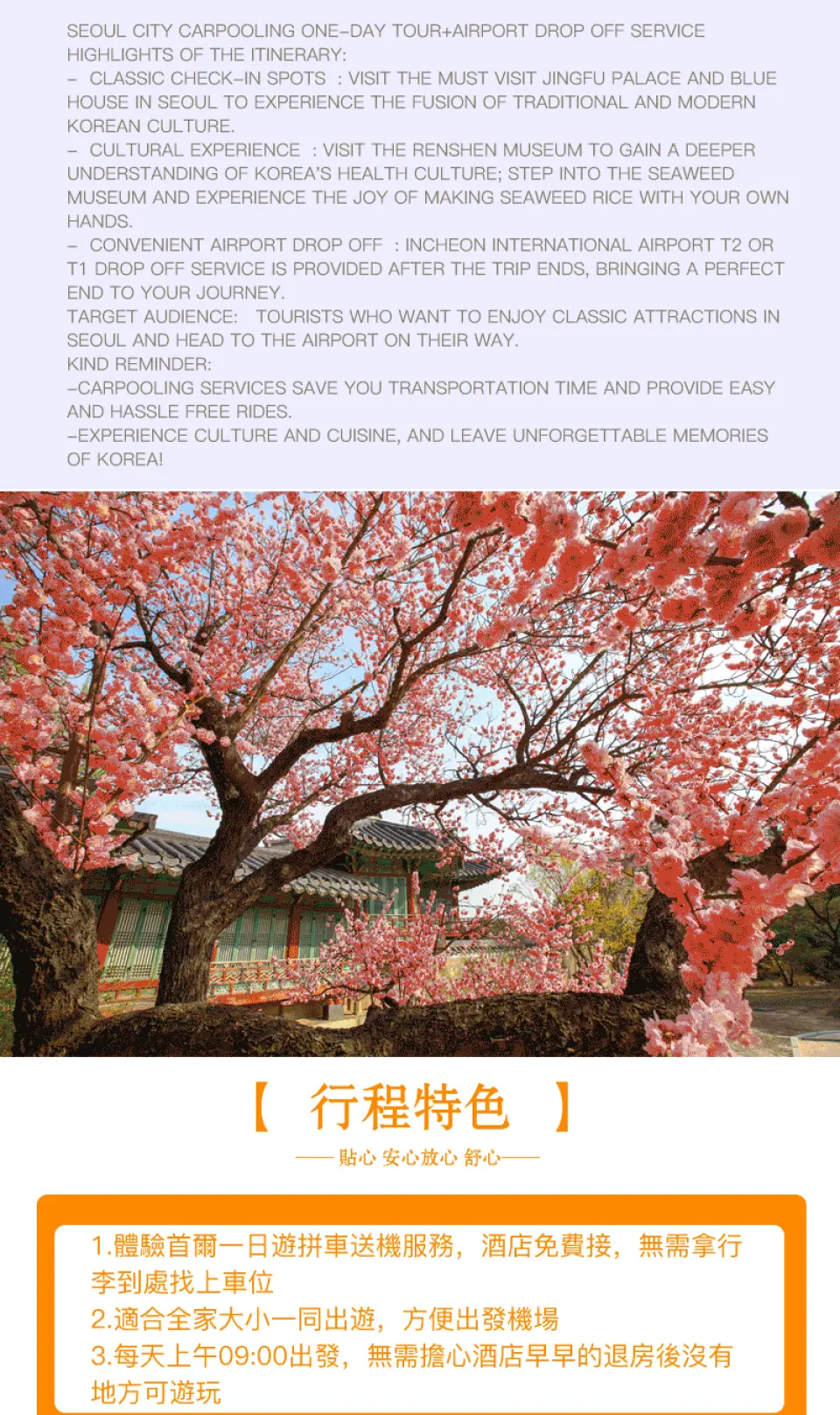 首尔市区一日游的行程特色及详细英文介绍，特写粉色樱花背景，突显景福宫、机场送机等服务亮点。