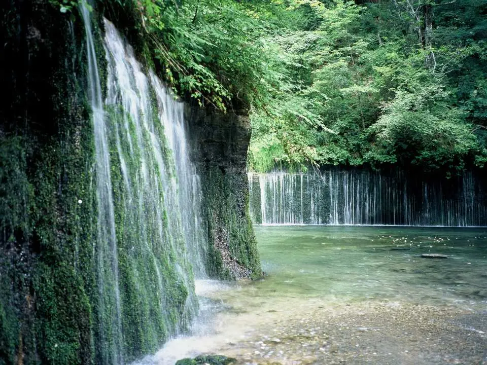 輕井澤著名的白絲瀑布，水流從翠綠岩壁如絲般傾瀉而下，營造出清幽寧靜的自然秘境，是漫步的好去處。