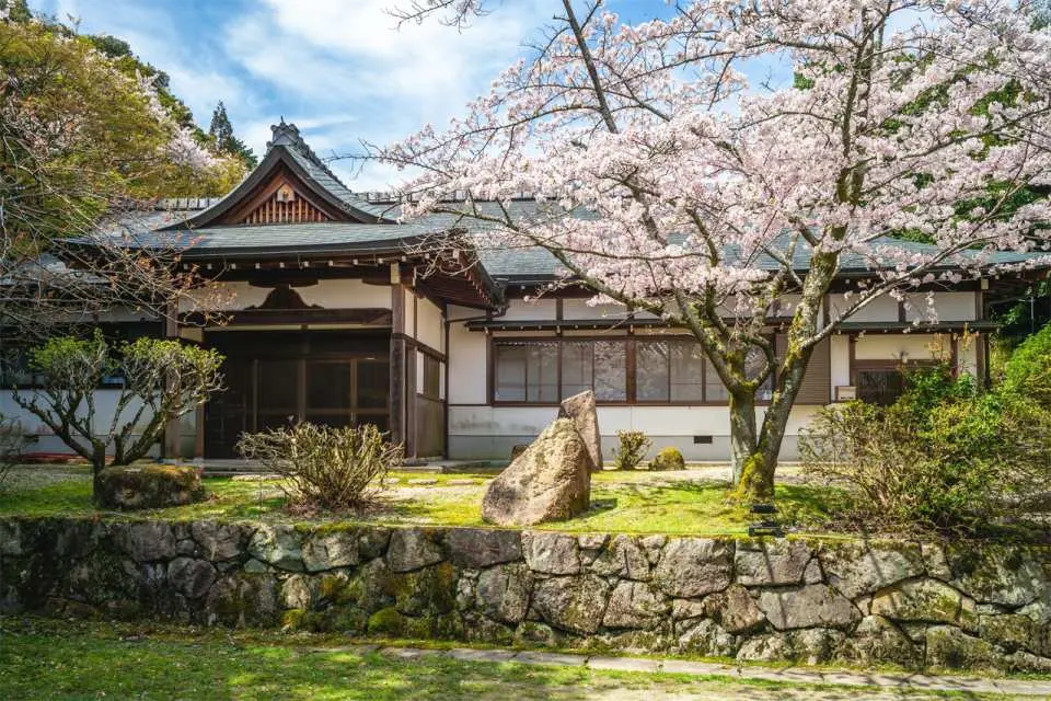 三井寺（ちょうとやまえんじ）は、天台寺門宗の総本山で、686年に創建され、1200年以上の歴史を誇ります。この古寺は、深い歴史、豊かな文化遺産、そして仏教的な雰囲気で知られています。しかし、三井寺を訪れる人々の心に真に刻まれる宝物は、まさにその見事な桜の季節です。約1500本の桜が咲き誇る歴史ある寺院は、まさに絶好の桜の名所です。