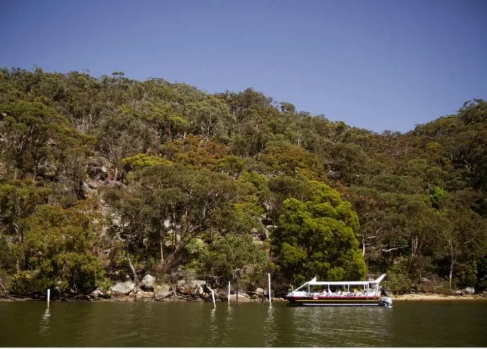 A tour boat sails through the tranquil waters of the Hawkesbury River, flanked by lush green hills, showcasing the breathtaking natural beauty of the Broken Bay area.