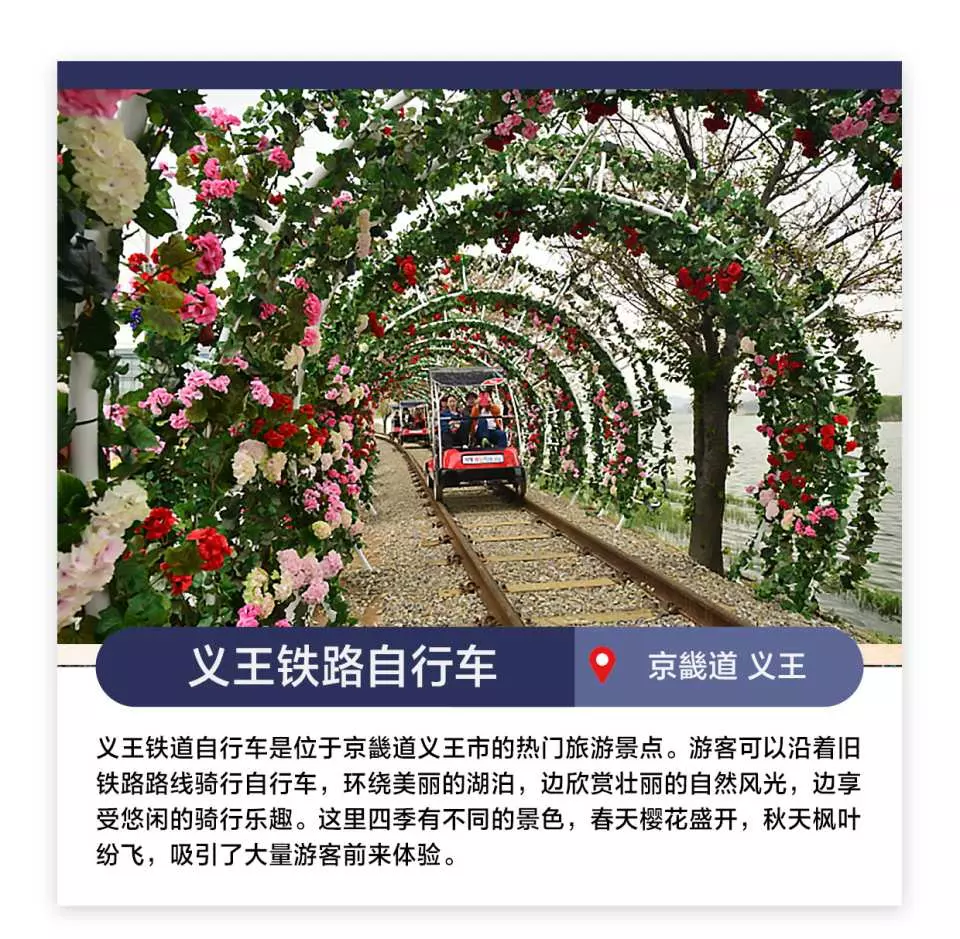 People enjoying the Uiwang Rail Bike ride, pedaling along the tracks through picturesque flower arches and lush greenery, with serene lake scenery in Gyeonggi-do.