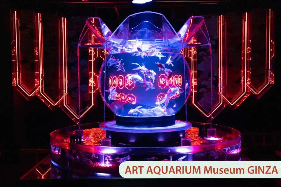 Ginza Art Aquarium