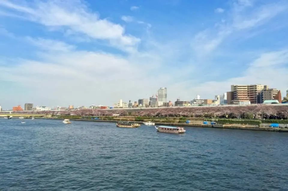 隅田川の様子（イメージ）