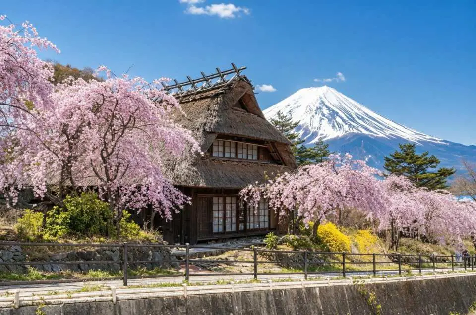古く静かな合掌造りの村は、富士山を背景に堂々と佇んでいる。