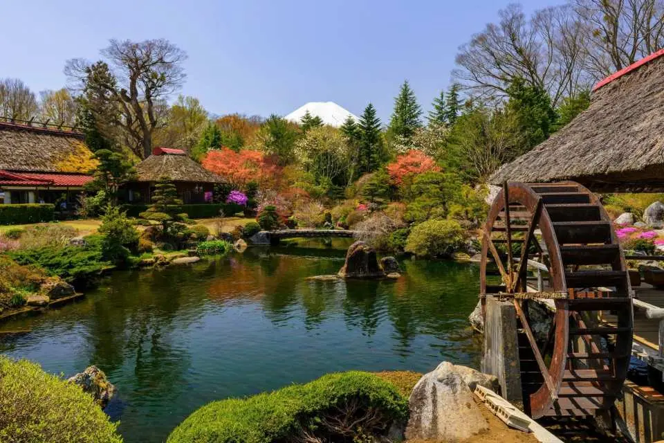 忍野八海の水は、鏡のように澄み切っている。