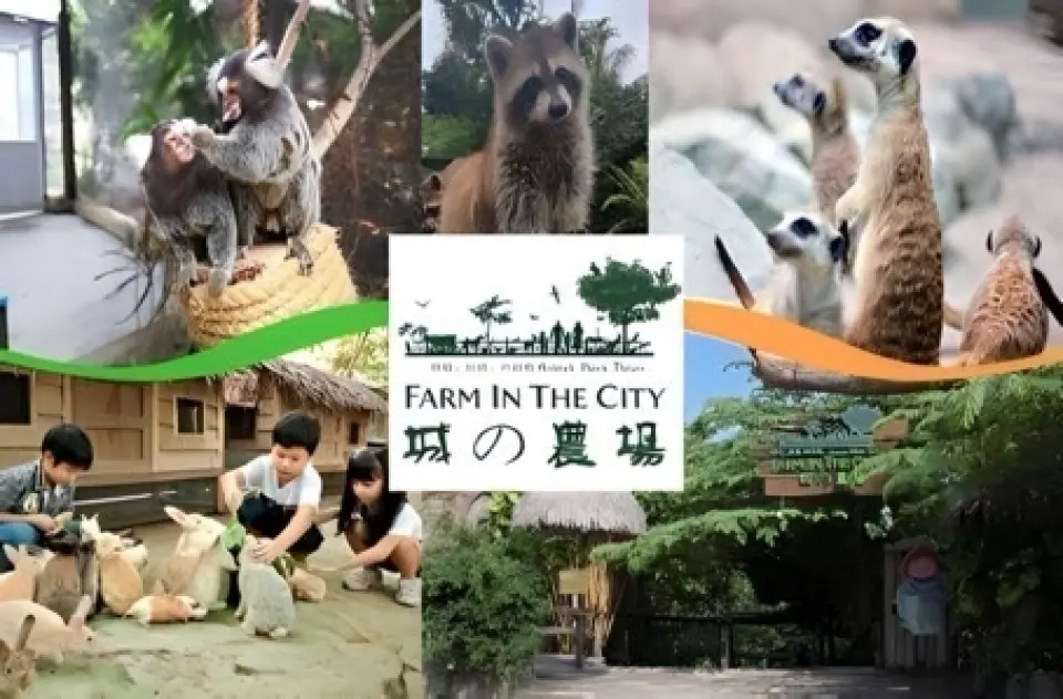 【黃金棕櫚渡假村活動(含水上活動撐船+獨木舟+沙灘ATV活動及蠟染DIY)〉城市農場Farm In The City〉國家皇宮〉中國好風味餐廳+傳統服飾體驗活動】