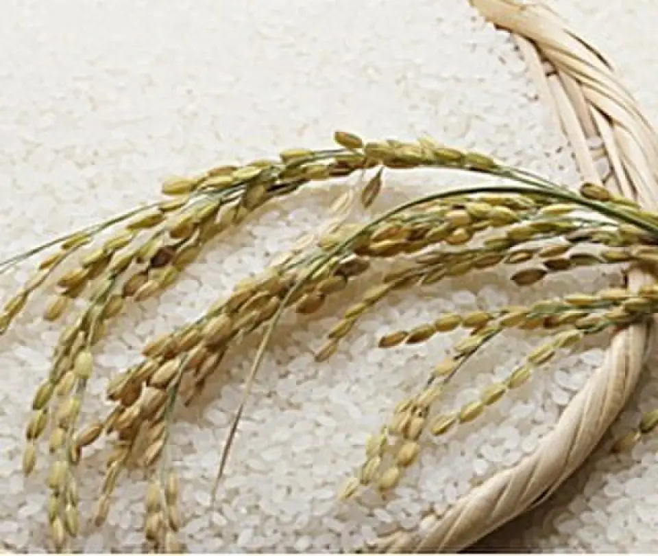 The vinegared rice used in all of the bowls is made from rice produced in Hokkaido. It has a strong stickiness and firmness, with a good balance of sweetness and aroma, and is delicious even when cooled. A local rice wholesaler recommends the best rice for the season, and the rice is carefully selected after repeated tastings. This carefully selected rice is cooked plumply every morning before opening, and turned into vinegared rice that pairs perfectly with the fresh ingredients. As the rice is carefully prepared by hand, the restaurant will close as soon as the vinegared rice runs out, so please come early!