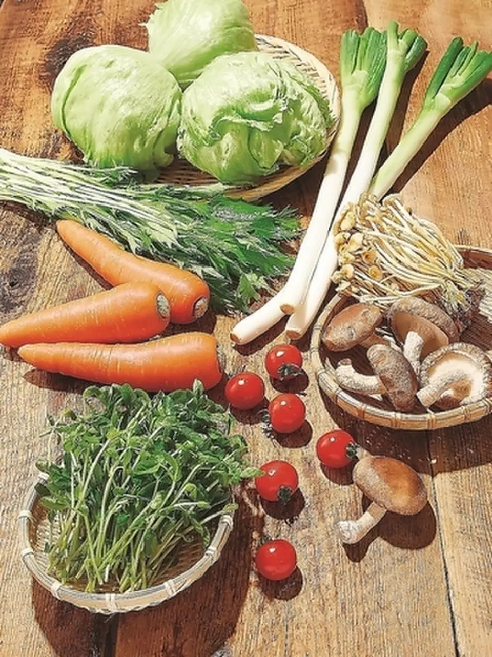 We do not choose a specific production area, but instead use a "production area relay" to provide you with the most delicious vegetables of the season while they are still fresh.