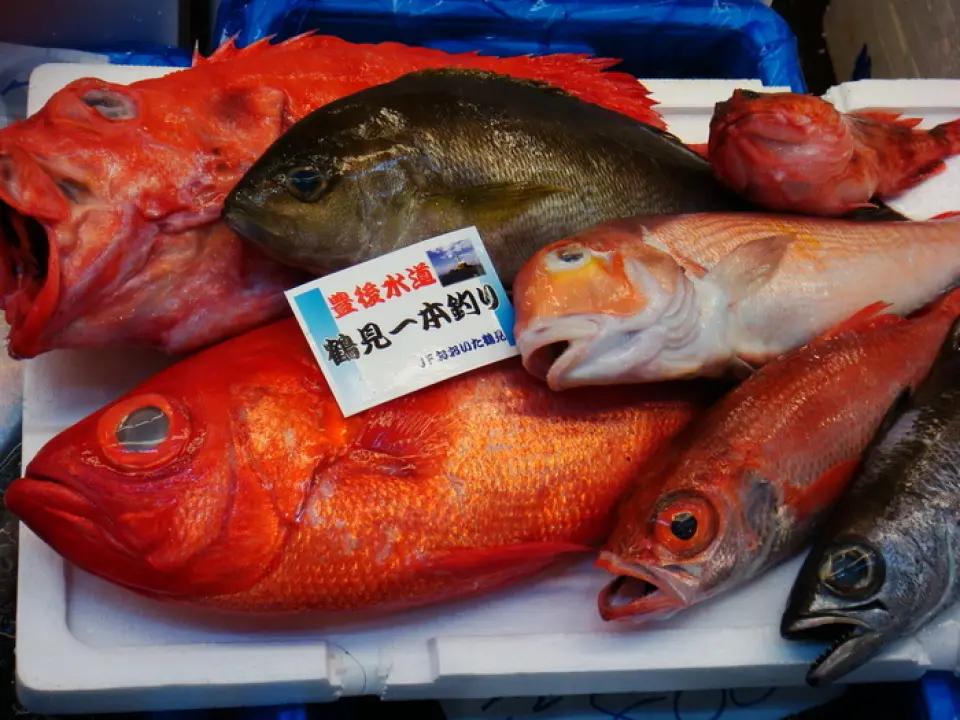 Mutsuminato 以其豐富的鮮魚選擇和獨特的菜單贏得了顧客的青睞，並提供由剛捕撈的極其新鮮的魚製成的精緻菜餚。店主每天早上親自前往豐洲採購新鮮的魚，這些魚口感有彈性，肉質緊實豐滿。可以盡情品嚐當季新鮮魚類的刺身拼盤，2份4,180日元、4份5,500日元，價格合理。您可以在澀谷盡情享用正宗的新鮮魚。