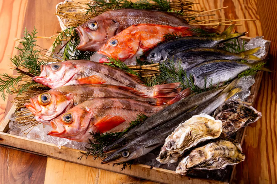 本店最初是祖父那一代经营的鲜鱼店。我们以从祖父那一代就支持我们的牢固关系商店为基础，以世代相传的挑剔眼光采购美味的时令鱼。享用由我们熟练的员工烹制的招牌鱼类菜肴。