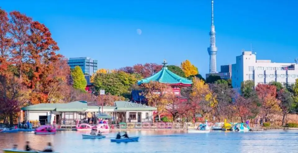 Many tourists visit Ueno every day. Ueno Park has many attractions, including art galleries, museums, Shinobazu Pond, a temple with a five-story pagoda, and Ueno Zoo. If you enjoy teppanyaki, a traditional Japanese food culture, with Kobe beef, the king of wagyu beef, in Ueno, you will be able to feel the best of Japan. We have English menus and English-speaking staff on hand at all times, so please feel free to come and visit us. We will provide you with the best entertainment possible.