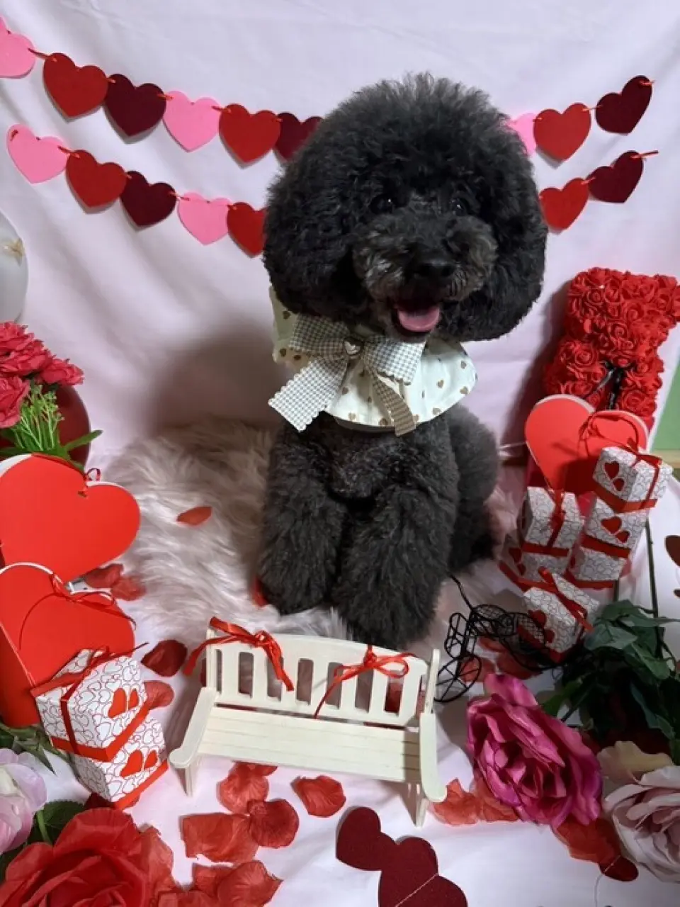 Bạn có thể mang chó của bạn vào cửa hàng của chúng tôi! Hãy thưởng thức bữa ăn cùng chú chó cưng của bạn trong một căn phòng ấm áp. Chúng tôi cũng có phòng riêng được ngăn cách bằng vách ngăn và một gian chụp ảnh thú cưng được trang trí bằng đồ trang trí theo mùa. Bây giờ bạn có thể thưởng thức những đồ trang trí dễ thương cho ngày lễ tình nhân!