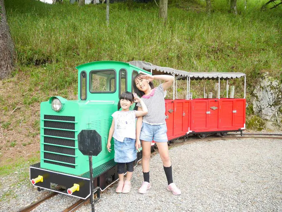 The small train in this picture is at your own expense