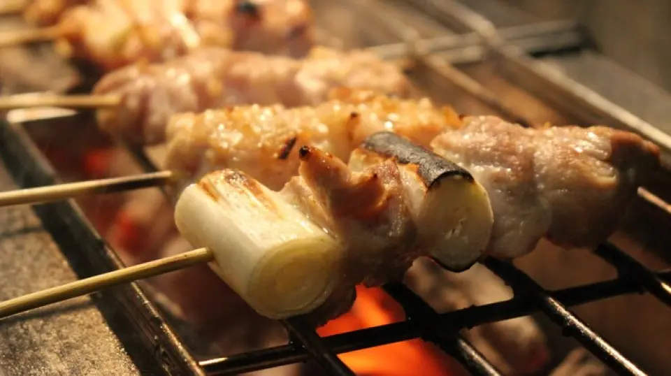 本店的鸡肉料理全部使用每天送来的新鲜“大山香草鸡”。采用鸟取县著名的水源和精选的草药饲料饲养的鸡，肉质无腥味，口感鲜嫩。其特点是口感清淡、风味浓郁。我们提供美味又嫩滑的烤鸡肉串，采用根据切块而变化的特殊烧烤方法。其中，我们推荐的是限定版的“Hatsumoto”、“Soriless”和“Obi”。在常见的烤串中，最受欢迎的是“Negima”、“Seseri”和“Furisode”。