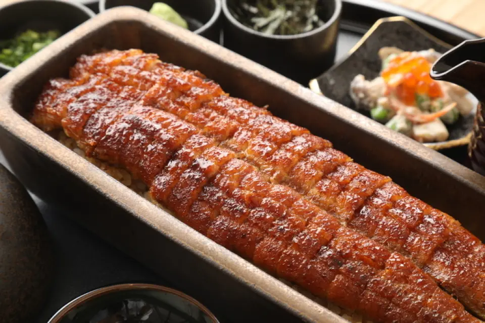 Our specialty, the "One Eel," is served whole, as the name suggests, and is a dish we are proud of. The eels, selected with years of discerning eyes, are attractive for their thickness, which does not shrink even when cooked over high heat over binchotan charcoal. You can enjoy the flavor of the fragrantly grilled eel to your heart's content. We also offer three types of kaiseki courses for those who wish to enjoy a leisurely meal. The Nogiku Kaiseki course is especially recommended, as it allows you to savor seasonal delicacies such as seasonal colors, fish, and eel tempura.