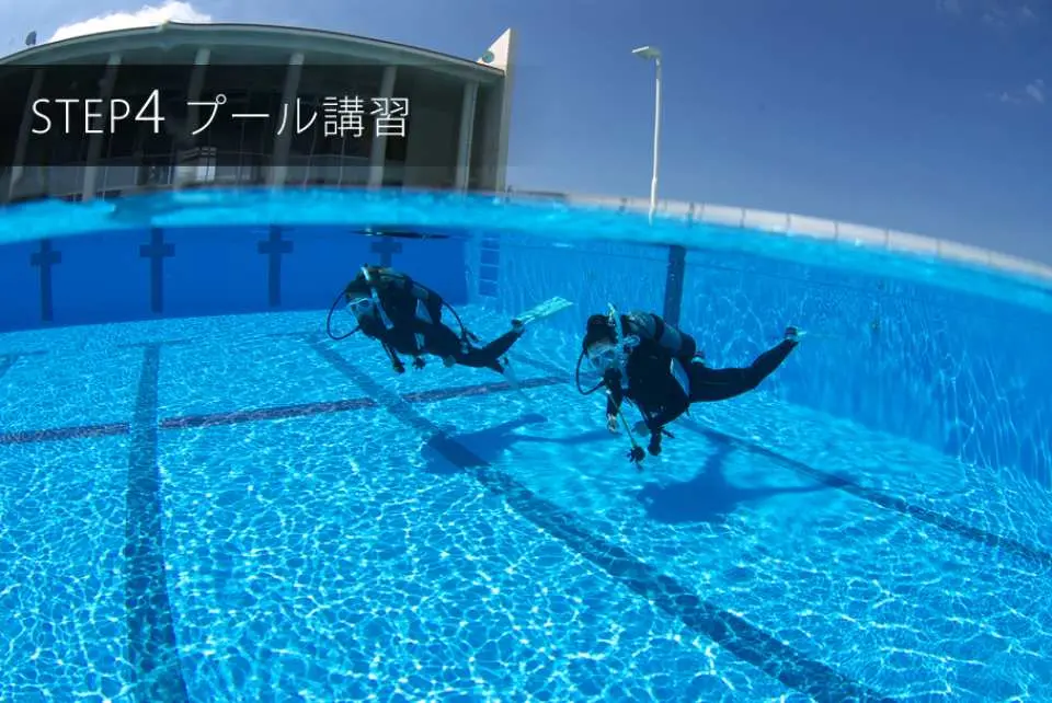 下午：平靜水域訓練 （游泳池）